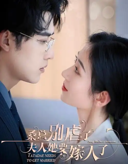 奇奇影院剧集《第二封信》海报